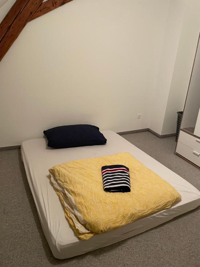 Central Room With Amazing View St. Gallen Bagian luar foto