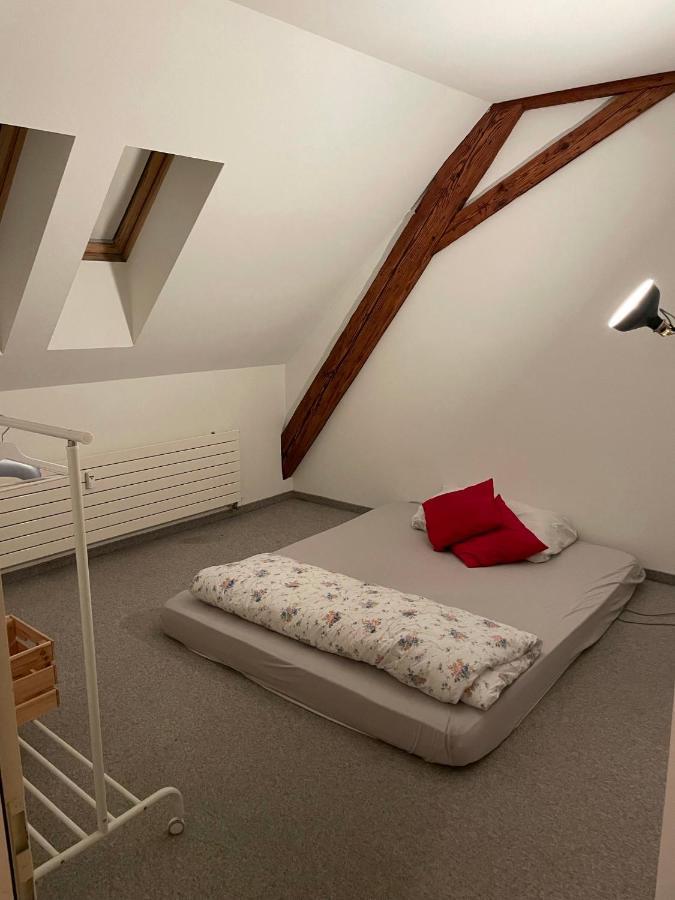 Central Room With Amazing View St. Gallen Bagian luar foto